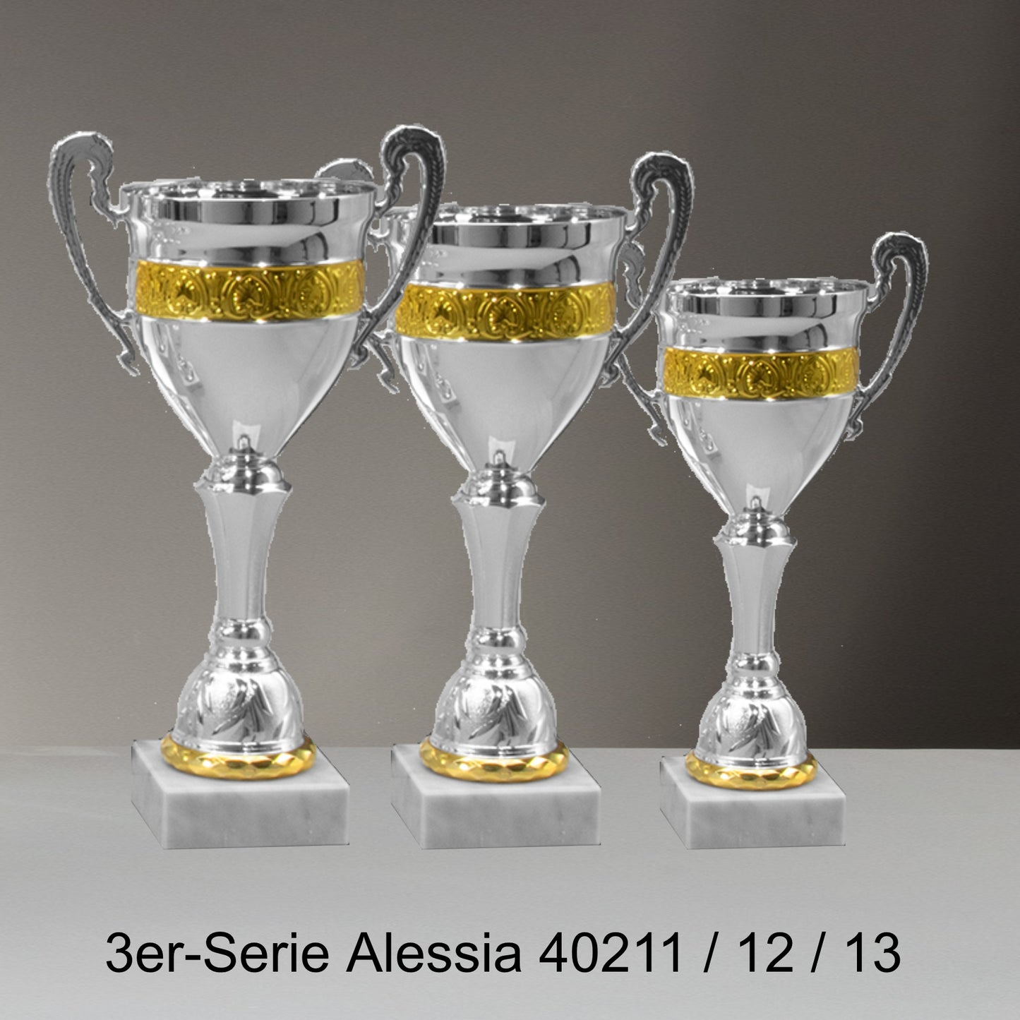 Pokal Pokalserie Allesia 40211 - 12 -13