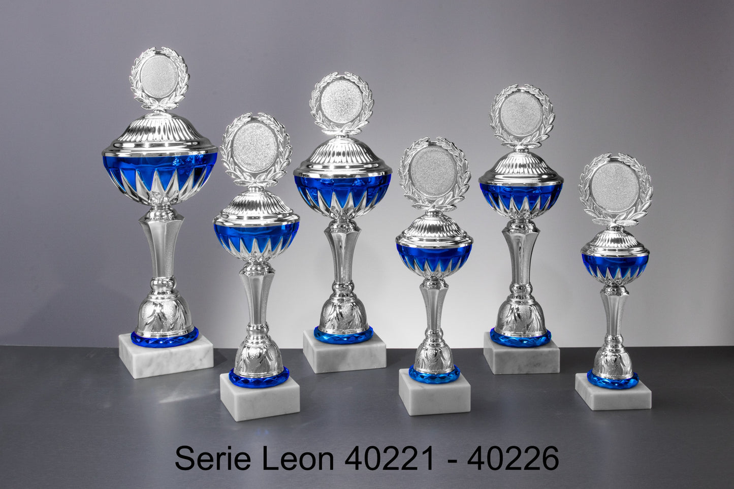6er Pokal Serie Leon 40221 - 40226
