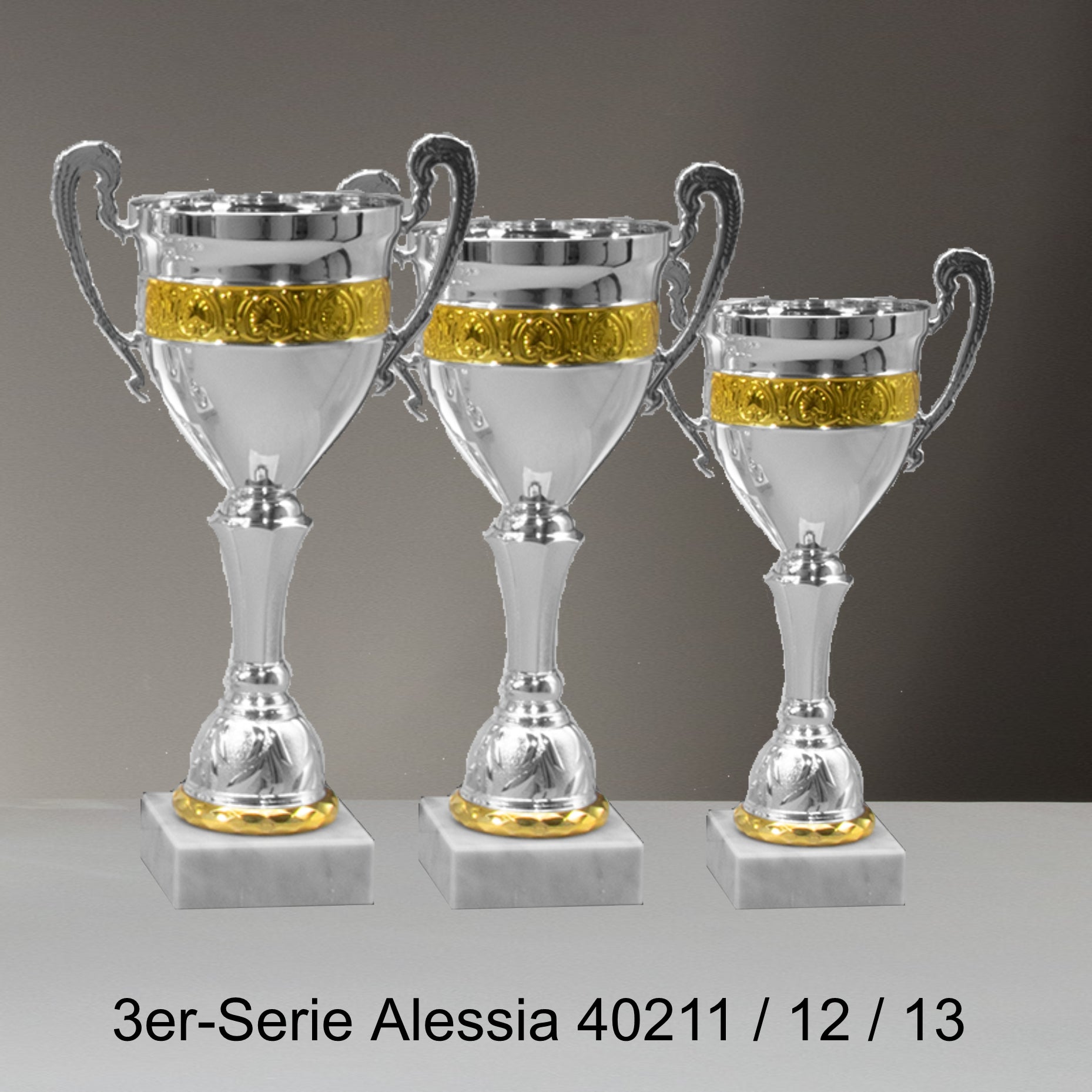 Pokal Pokalserie Allesia 40211 - 12 -13