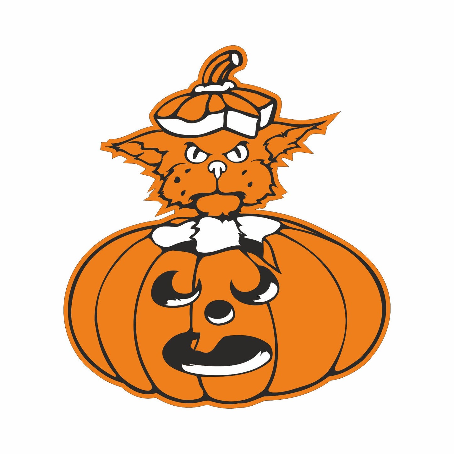 SunCatcher Acryl Glas – Lichtspiele für Fenster & Dekoration